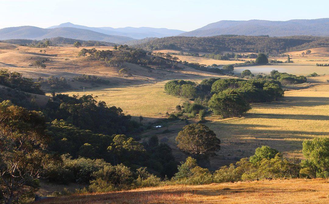 Natural Sequence Farming & The Mulloon Institute